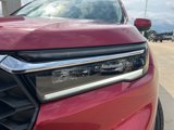 New 2025 Honda Pilot EX-L image 3