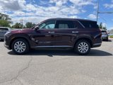 Used 2025 Hyundai Palisade SEL image 4