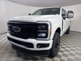 New 2025 Ford F250 Platinum image 3