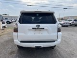 Used 2022 Toyota 4Runner SR5 Premium image 5