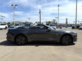 Used 2019 Ford Mustang GT Premium image 6