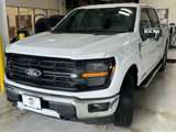New 2025 Ford F150 XLT w/ Equipment Group 302A MID image 3