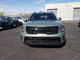New 2025 Kia Telluride AWD image 3