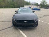 Used 2024 Ford Mustang Premium image 2