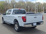 New 2025 Ford F150 XLT w/ Equipment Group 302A MID image 3