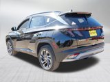 New 2025 Hyundai Tucson Limited image 3