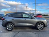 New 2025 Ford Escape ST-Line w/ Tech Pack #1 image 5