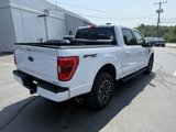 Used 2022 Ford F150 XLT w/ Equipment Group 302A High image 3