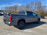 New 2025 Toyota Tundra Platinum image 5