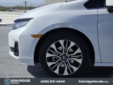 New 2025 Honda Odyssey Elite image 5