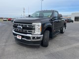 New 2025 Ford F250 4x4 Regular Cab Super Duty image 3
