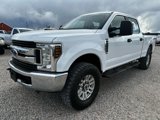 Used 2019 Ford F250 XL w/ STX Appearance Package image 5