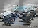 View Video