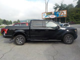Used 2017 Ford F150 XLT w/ Equipment Group 302A Luxury image 4