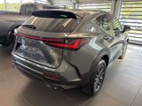 Used 2025 Lexus NX 350 AWD image 5