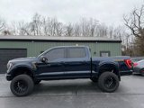 Used 2022 Ford F150 Tremor w/ Equipment Group 401A Mid image 3