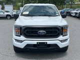 Certified 2023 Ford F150 XLT w/ Equipment Group 302A High image 5