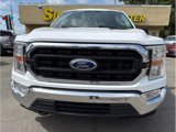 Used 2022 Ford F150 XLT w/ Equipment Group 301A Mid image 4