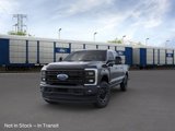 New 2025 Ford F250 Platinum image 2