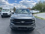 New 2025 Ford F150 Platinum image 2