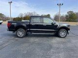 New 2025 Ford F150 XLT image 2