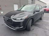New 2025 Ford Escape Platinum w/ Premium Technology Package image 3