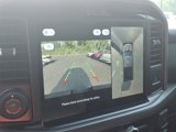 New 2025 Ford F150 XLT w/ Equipment Group 302A MID image 5