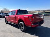 New 2025 Ford F150 XLT w/ Equipment Group 301A Standard image 3