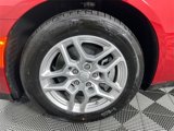 New 2025 Dodge Charger R/T w/ Quick Order Package 25M R/T image 3