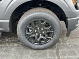 New 2025 Ford F150 XLT w/ Equipment Group 302A MID image 6