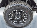 New 2025 Ford F250 Platinum w/ FX4 Off-Road Package image 5