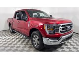 Certified 2022 Ford F150 XLT w/ Equipment Group 302A High image 2