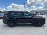 New 2025 Hyundai Palisade Calligraphy image 4