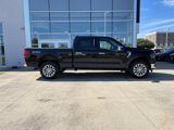 New 2024 Ford F150 XLT w/ Equipment Group 303A High image 4
