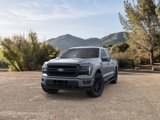 New 2025 Ford F150 Lariat w/ Equipment Group 501A Mid image 3