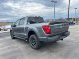 New 2025 Ford F150 XLT image 3
