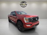 Used 2023 Ford F150 XLT w/ Equipment Group 302A High image 2