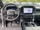 New 2025 Ford F150 STX w/ Equipment Group 200A image 2