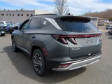 New 2025 Hyundai Tucson Limited image 5