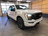 Certified 2023 Ford F150 XLT w/ Equipment Group 302A High image 1
