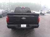 New 2025 Ford F150 XLT image 5