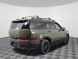 New 2026 Hyundai Santa Fe Calligraphy image 3