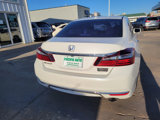 Used 2017 Honda Accord EX-L image 6