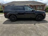 New 2025 Hyundai Santa Fe Calligraphy image 5