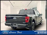 Certified 2022 Ford F150 XLT w/ Equipment Group 302A High image 4