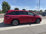 New 2026 Honda Odyssey Elite image 5