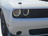 Used 2023 Dodge Challenger R/T w/ Blacktop Package image 3