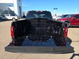New 2025 Ford F150 STX w/ STX Black Appearance Package image 5