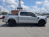 New 2025 Ford F150 Platinum image 3