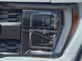 Used 2021 Ford F150 Raptor w/ Equipment Group 801A High image 6